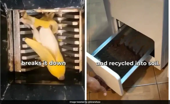 Kitchen Waste to Soil